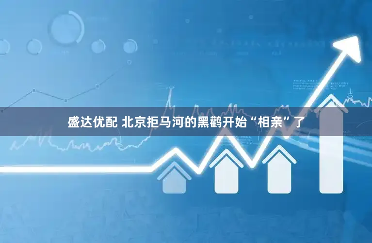 盛达优配 北京拒马河的黑鹳开始“相亲”了