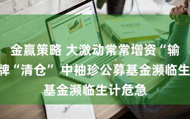 金赢策略 大激动常常增资“输血”挂牌“清仓” 中袖珍公募基金濒临生计危急