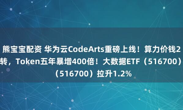 熊宝宝配资 华为云CodeArts重磅上线！算力价钱20岁首度回转，Token五年暴增400倍！大数据ETF（516700）拉升1.2%