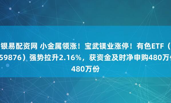 银易配资网 小金属领涨！宝武镁业涨停！有色ETF（159876）强势拉升2.16%，获资金及时净申购480万份