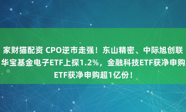 家财猫配资 CPO逆市走强！东山精密、中际旭创联袂新高！华宝基金电子ETF上探1.2%，金融科技ETF获净申购超1亿份！