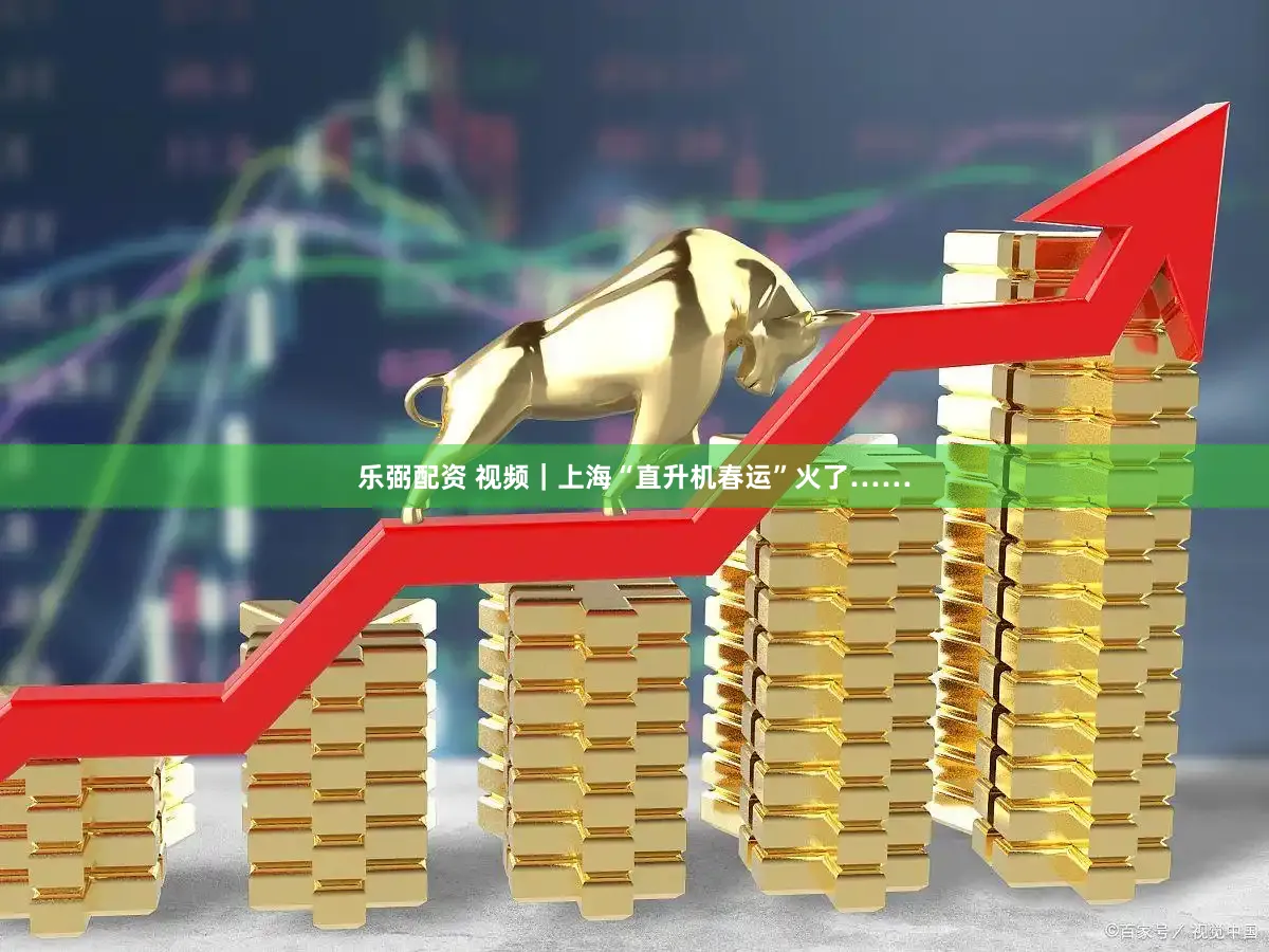 乐弼配资 视频｜上海“直升机春运”火了……